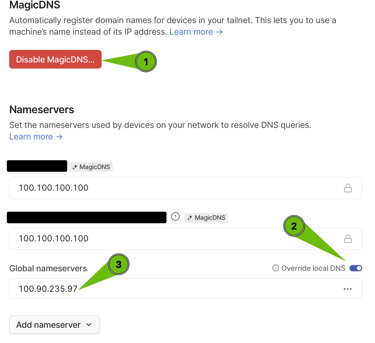 Tailscale DNS Settings